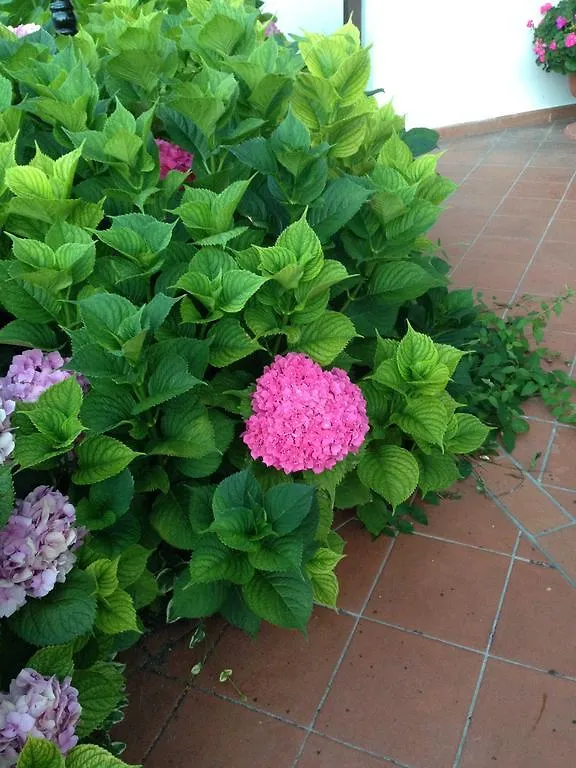 B&B Margherita Le Fiabe Sant'Agata Feltria 0*,  Italy